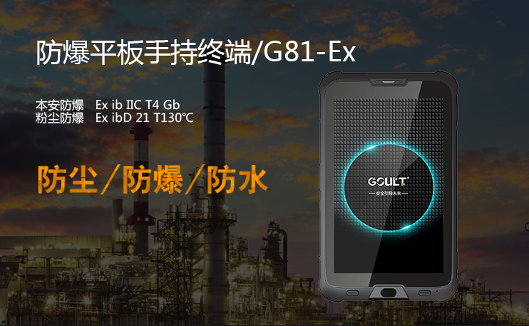 ӍK˷ƽֳֽKG81-Ex(sh)